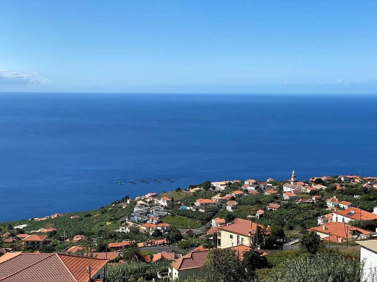 Σπίτι διακοπών Ocean And Palms Βίλα Arco da Calheta